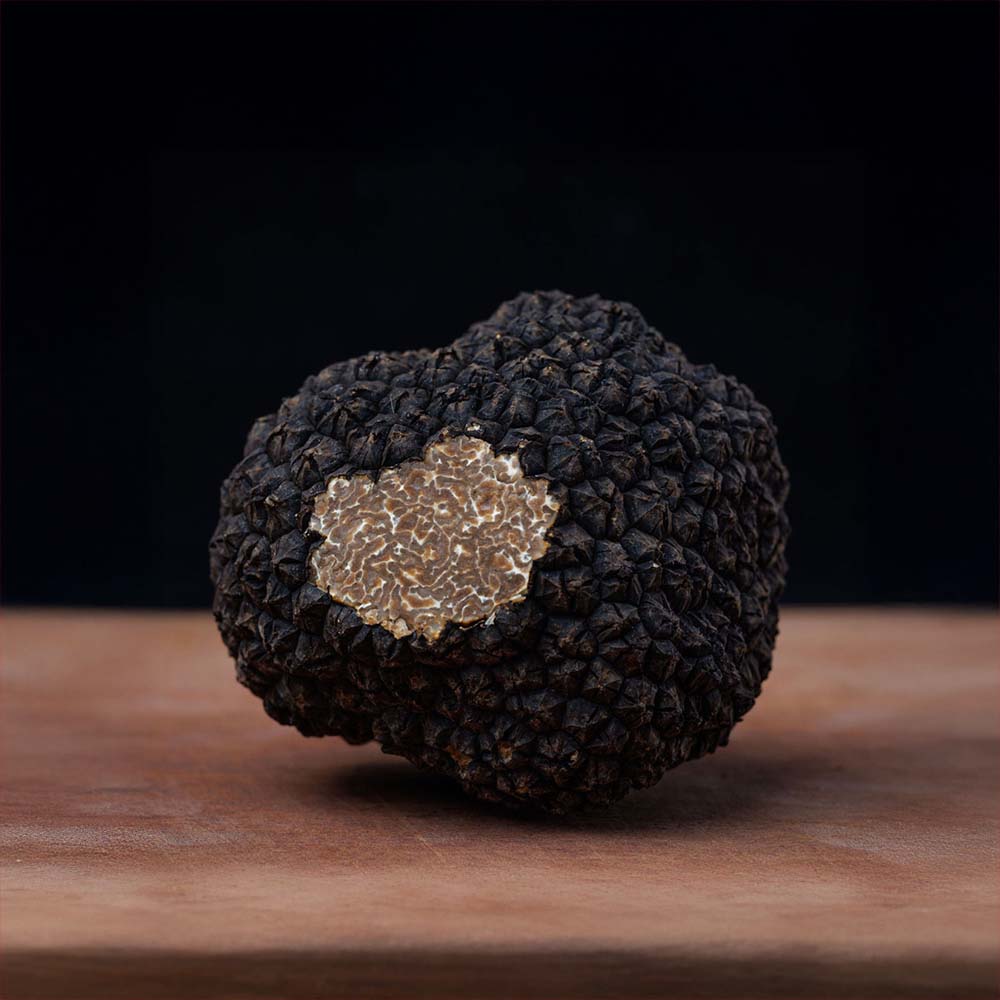 Truffles-Black-Autumn copy